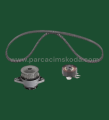 TRİGER SETİ & SU POMPASI ( DAYCO Kayışlı )