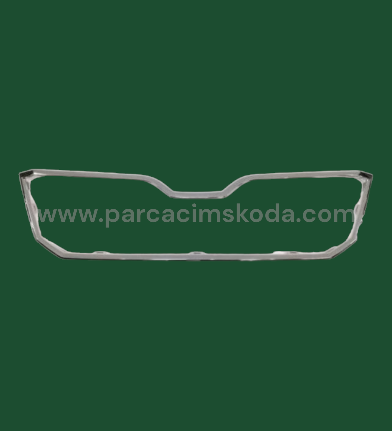 PANJUR ÇITASI ( Krom ) SUPERB